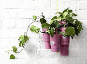 Hanging planter fashioned from stackable plastic beer cups.