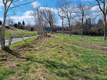 terrain à Saint-Romain-Lachalm (43)