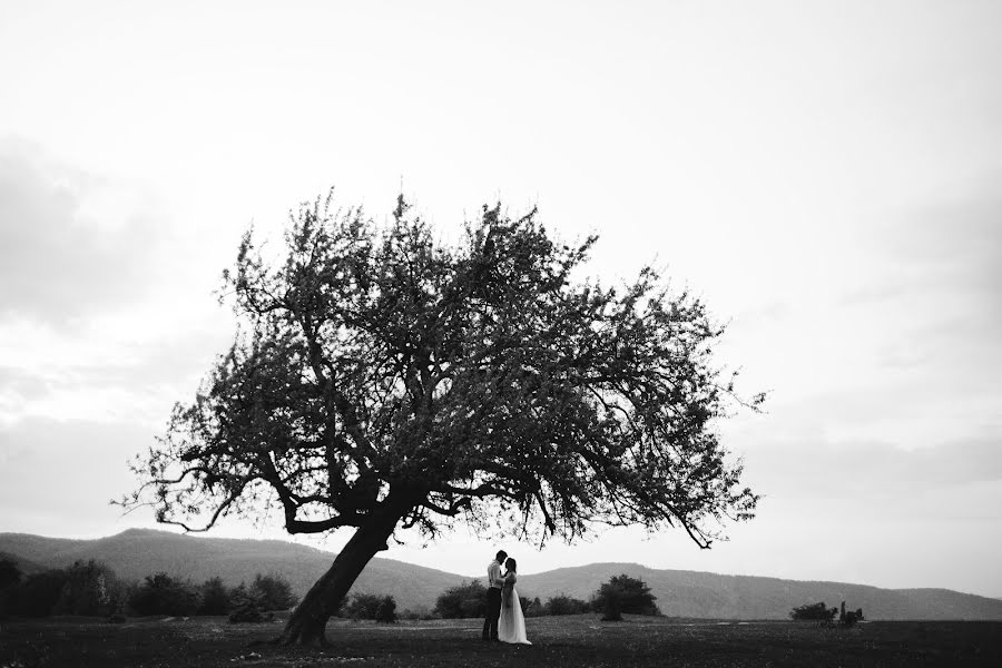 Wedding photographer Yuliya Bazhenova (juliamiss). Photo of 14 January 2017