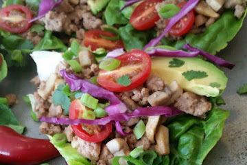 Spicy Asian Style Lettuce Wraps