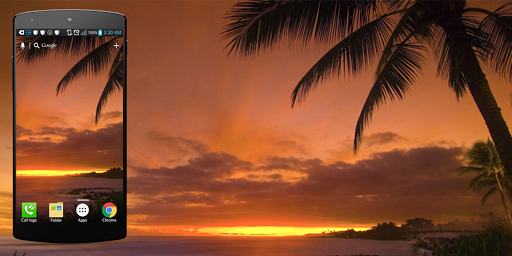 海滩夕阳生活壁纸