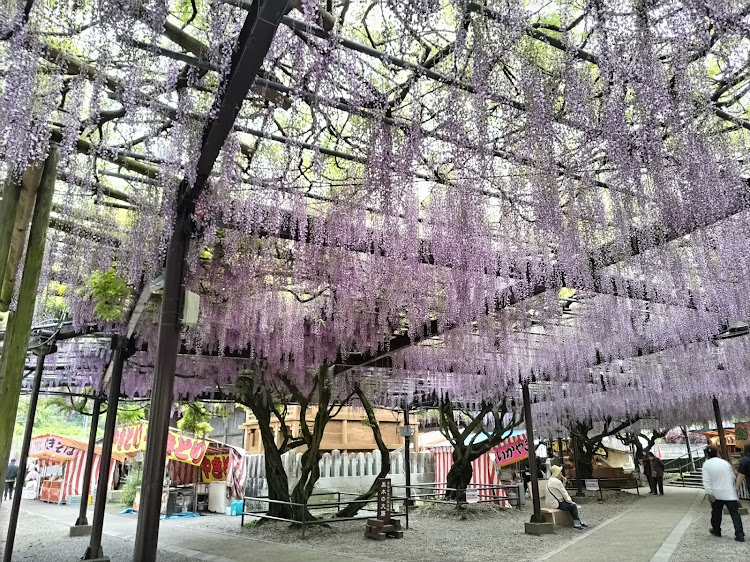 の投稿画像7枚目