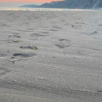 sand at sunset di 