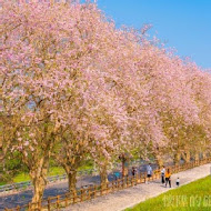 香榭大道-複合式餐廳