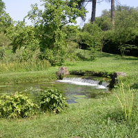 Oasi di ninfa di 