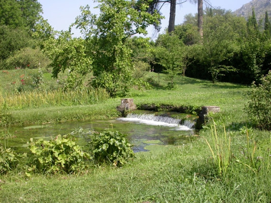 Oasi di ninfa di ritabat