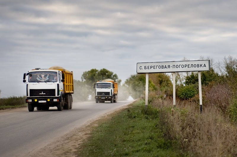 Береговая погореловка