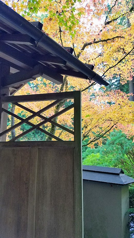 Fall at the Portland Japanese Garden, visiting for Autumn Portland Japanese Garden fall foliage photos on October 2017