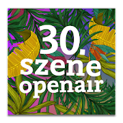 30. Szene Openair Festival  Icon