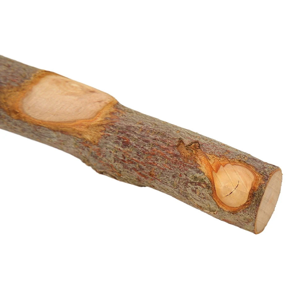 Bird Standing Stick Wood Perch Prevent Slip Interactive Bird Window Perch Stand with Suction Cups for Small Medium Bird