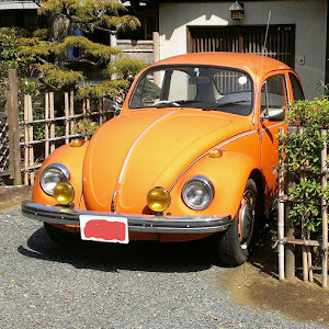 ビートル