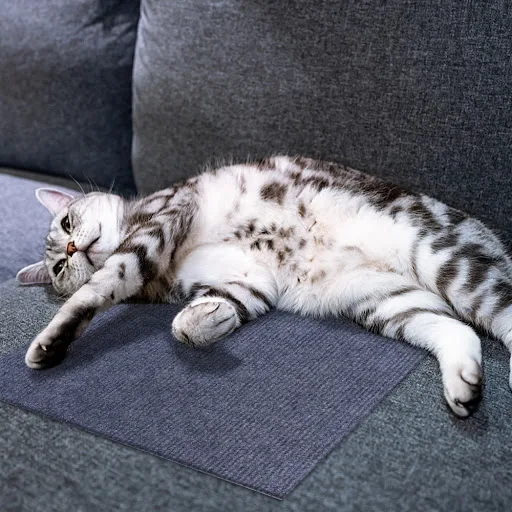 11.8inch Anti Cat Scratching Mat Couch Sofa Protection with Self-Adhesive Trimmable Cat Paws Post Carpet Furniture Wall 