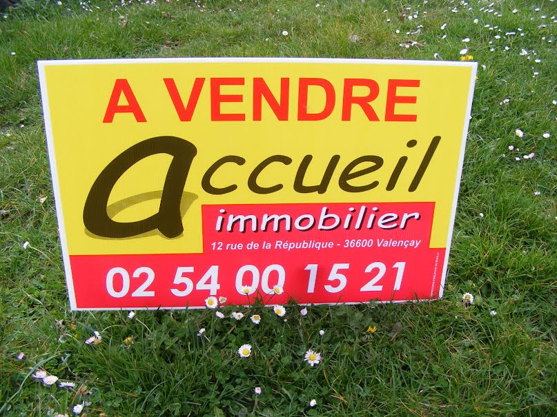 Vente terrain  20570 m² à Poulaines (36210), 127 400 €