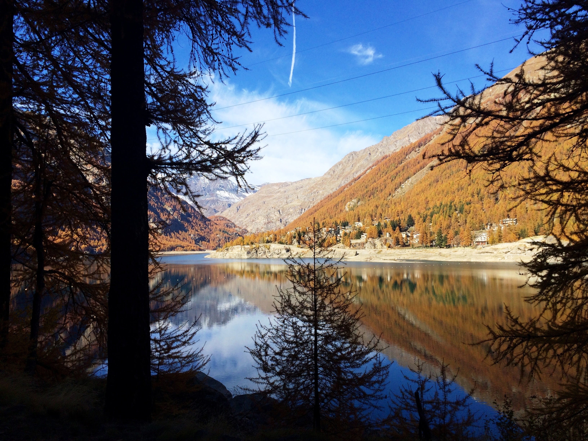 Specchio tra gli alberi di michi2695