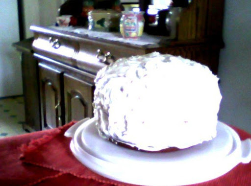 2/2/11  I made your cake today and it is very beautiful. Thank you for the post.