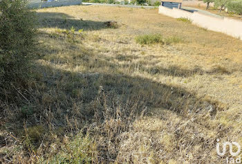 terrain à Saint-André-de-Roquelongue (11)