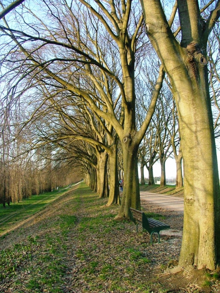 Tutti in fila di ruzzolalix