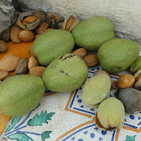 tempo di raccogliere la frutta secca di 