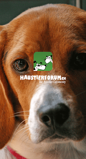 HaustierForum.ch