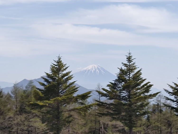 の投稿画像11枚目