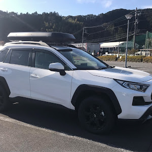 RAV4 MXAA54