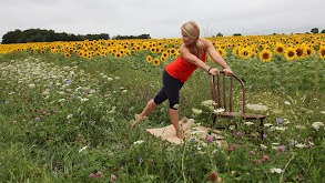 Sunflower Splendor thumbnail