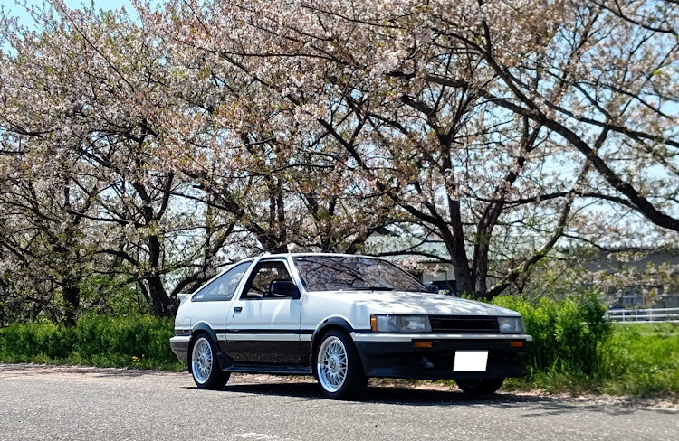 カローラレビンのサクラと愛車・桜が散る前に・4月もよろしくお願い致します🌸・頭文字D・安全運転で良いカーライフを。に関するカスタム事例の投稿画像1枚目