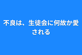 不良は、生徒会に何故か愛される