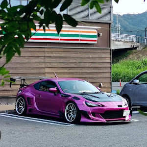 86 ZN6
