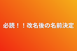 必読！！改名後の名前決定