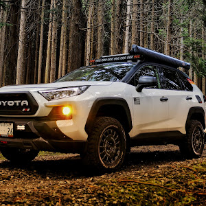 RAV4 MXAA54