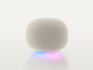 Image of a Google Home Speaker
