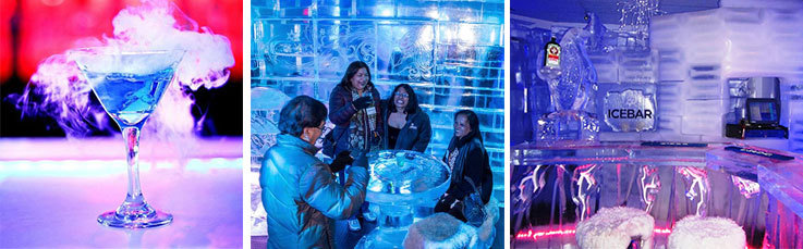 Inside ICEBAR Orlando International Drive