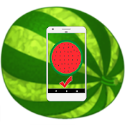 Watermelon Ripeness  Icon