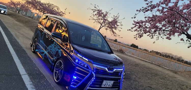 ヴォクシーのチーピンNo.46・Loose connect・Ange With Friend・GT-WORKS・花粉まみれに関するカスタム事例の投稿画像2枚目