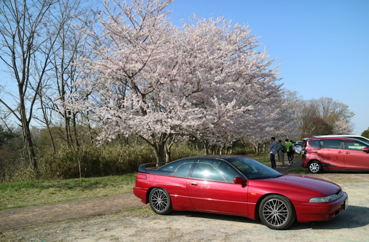 アルシオーネSVXのお花見ドライブ・JAF MATEに関するカスタム事例の投稿画像1枚目