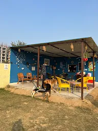 Elsa's Dog Park & Cafe photo 1