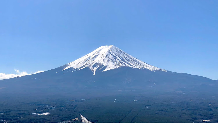 の投稿画像11枚目