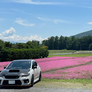 WRX S4 VAG