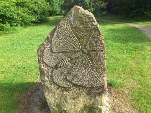 Butterfly Stone