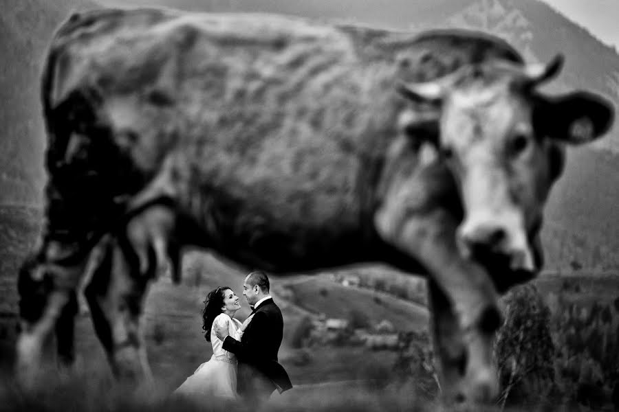 Wedding photographer Vali Matei (matei). Photo of 19 February 2015