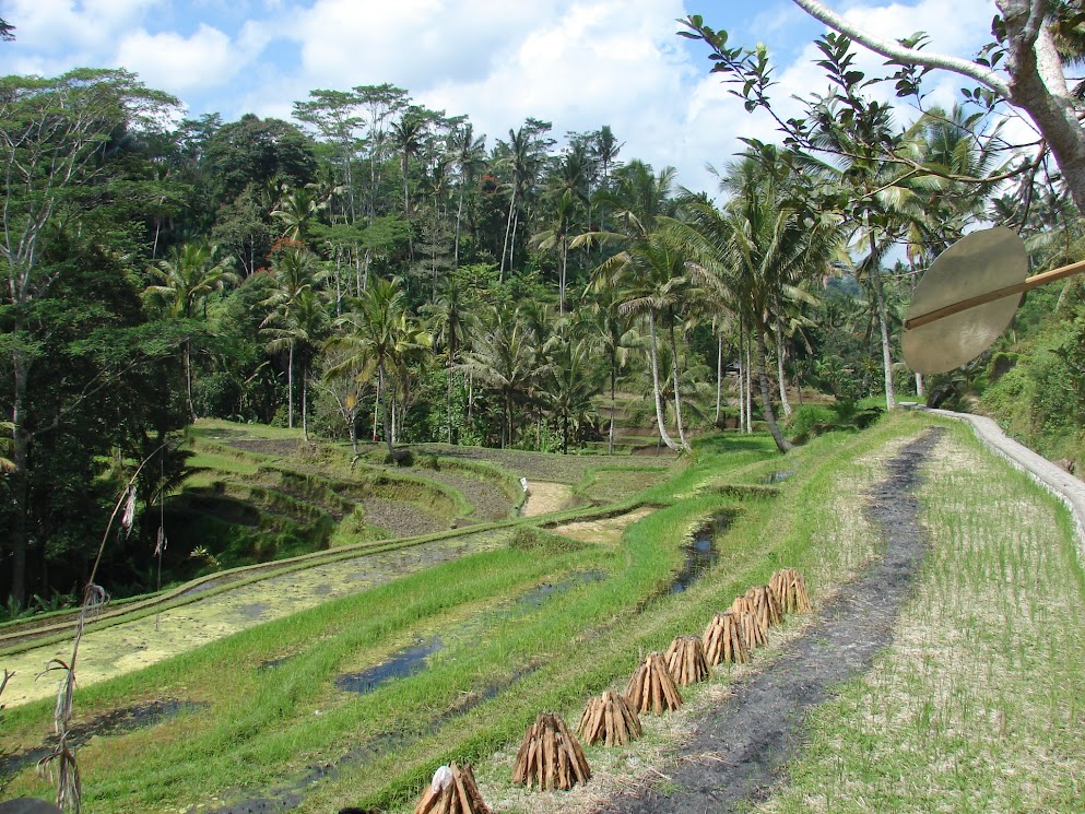 bali gunung kawi