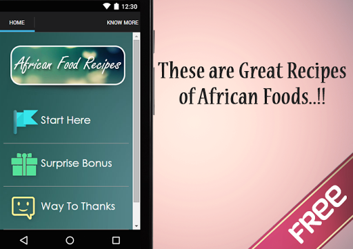 African Food Recipes Guide