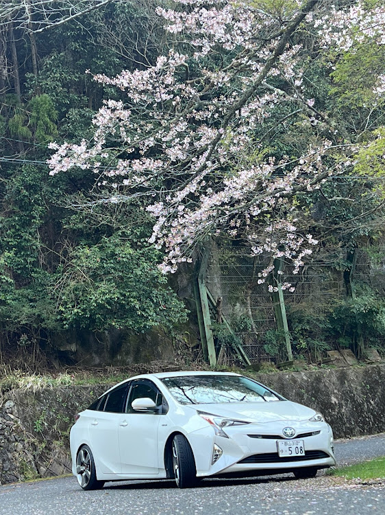 の投稿画像20枚目