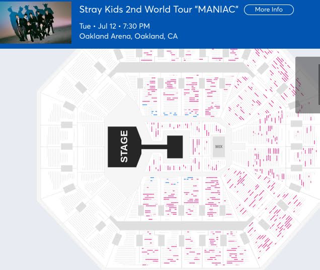 Билеты на тур Stray Kids «MANIAC» распроданы, но STAY утверждают, что фанатам почти не досталось билетов