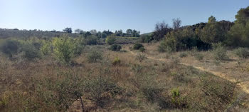 terrain à Portel-des-Corbières (11)