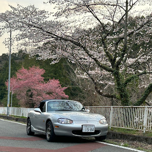 ロードスター NB6C