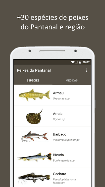 Peixes do Pantanal - 1.0.1701.2 - (Android)