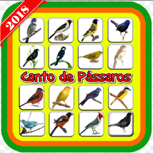 Canto de Pássaros offline