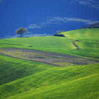 Nella quiete del mio mondo verde di 